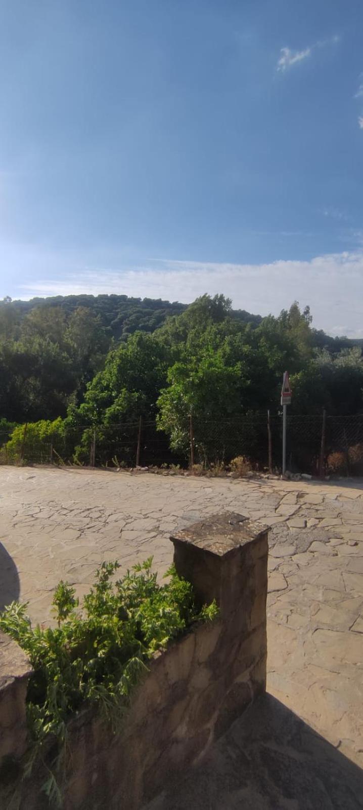 Mi Descanso El Bosque Buitenkant foto