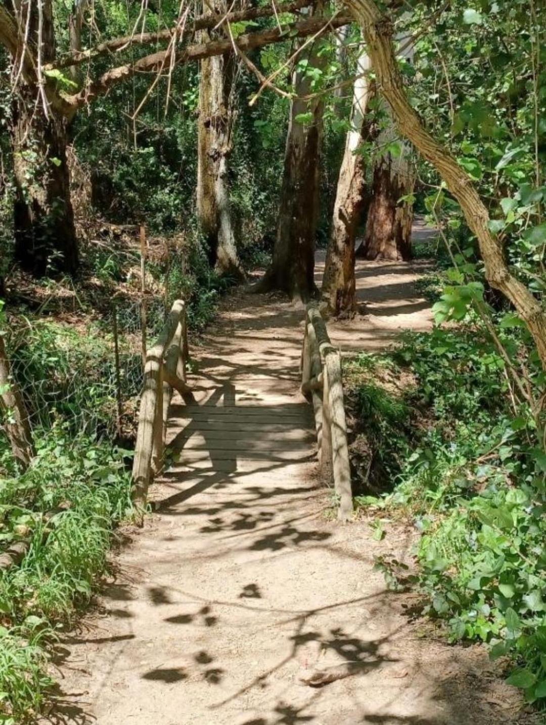 Mi Descanso El Bosque Buitenkant foto